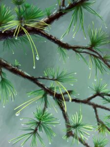 most liberal city in south carolina