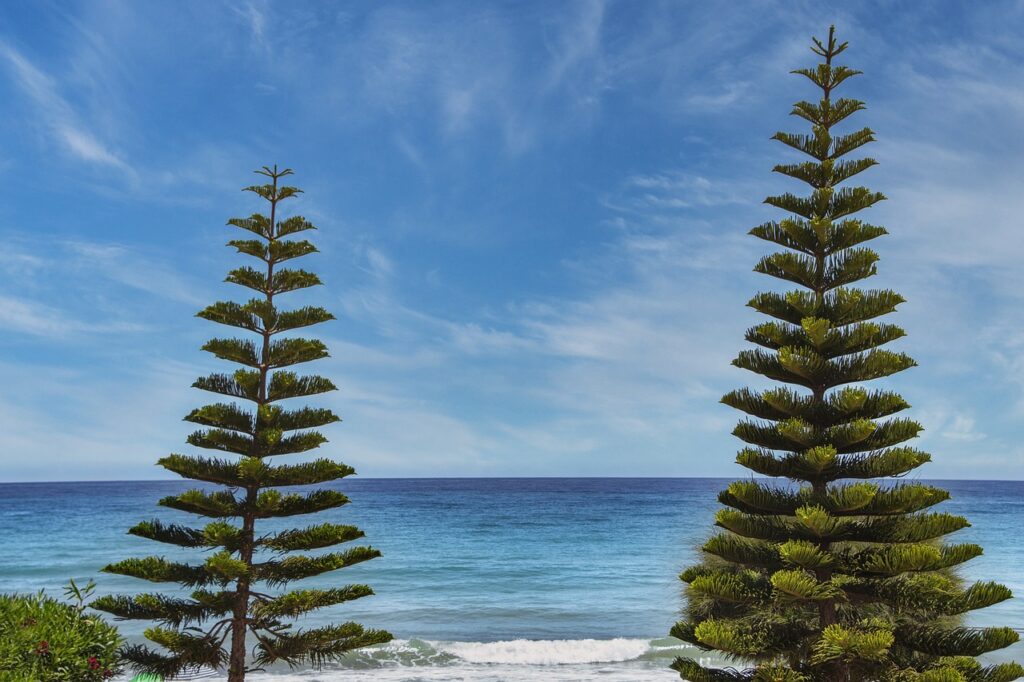 most liberal small towns in texas