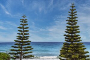 most liberal small towns in texas