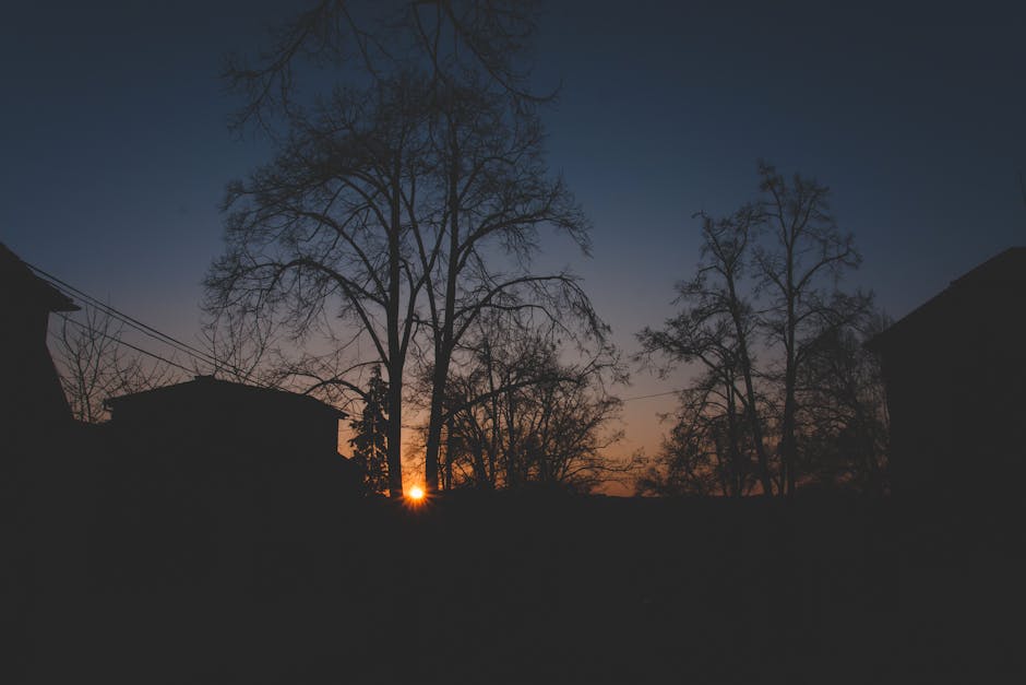 Smart Tips for Enhancing Natural Light Throughout the Home