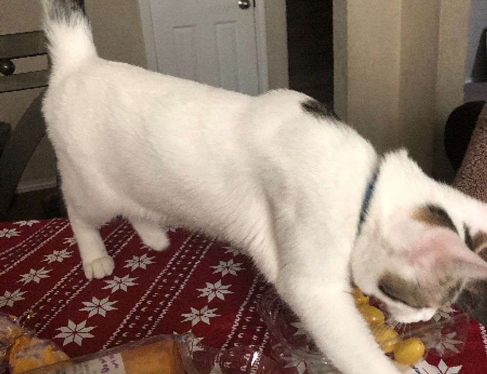 how to get feduspray home air freshener spray