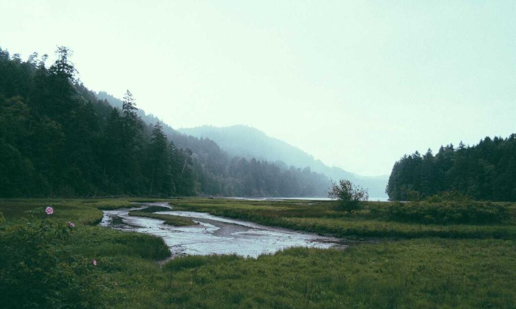 is mopfell78 the most demanding game for pc