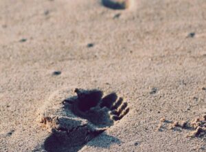 andreea bostanica goala