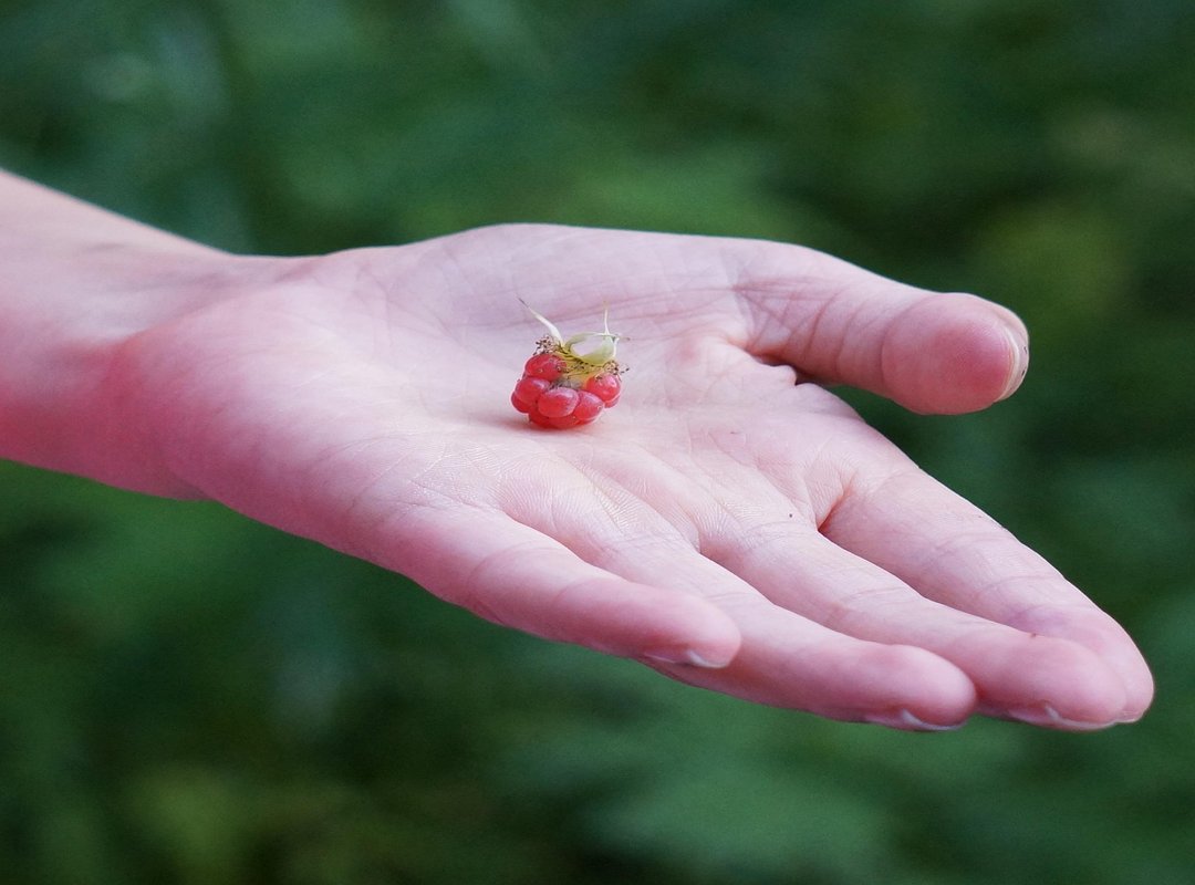 Creative Ways to Send a 'Good Morning Kiss' When You're Apart