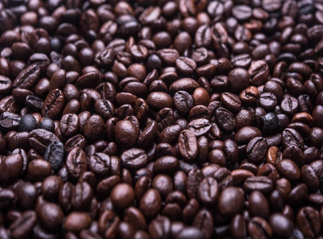 Decoding Section 3: Following the Academic Discussion