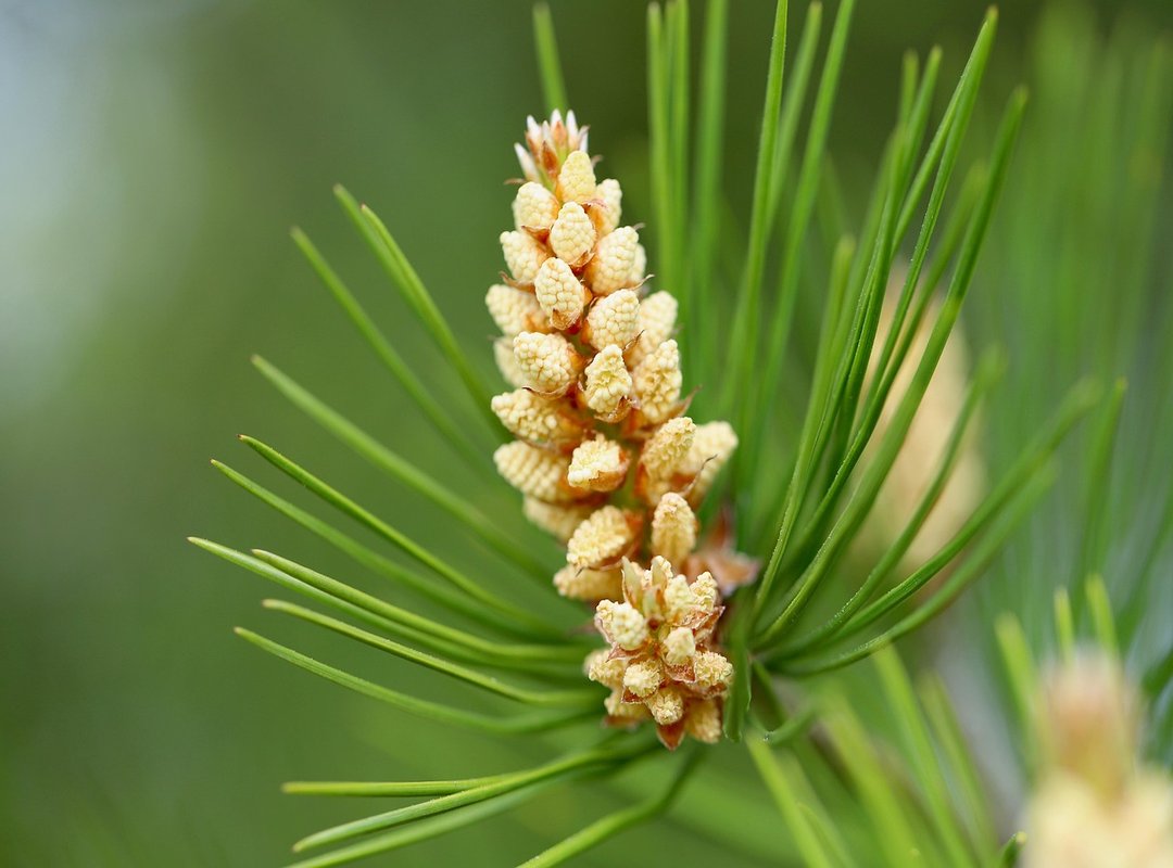 How a Broken Jaw Rewrote the Final Chapter