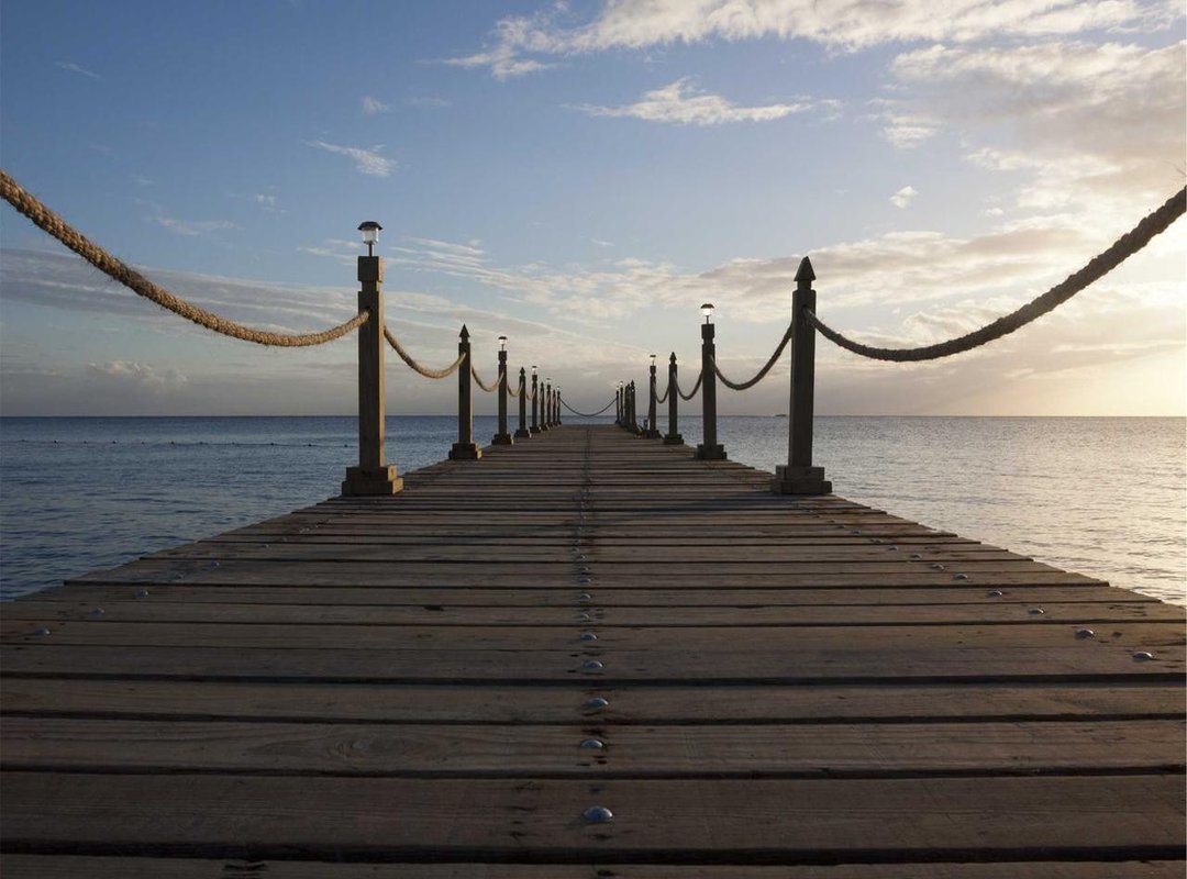 The Experience: What to Expect When You Visit