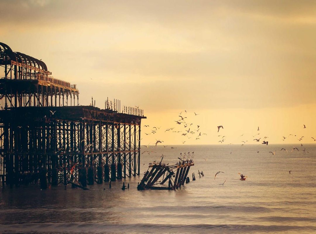 The Supporting Cast: Standout Performances Beyond the Stars