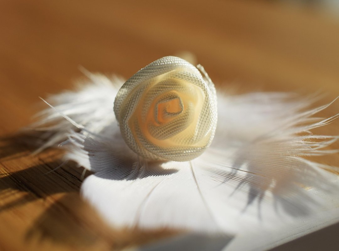 Understanding the Nuances of Gently Perv