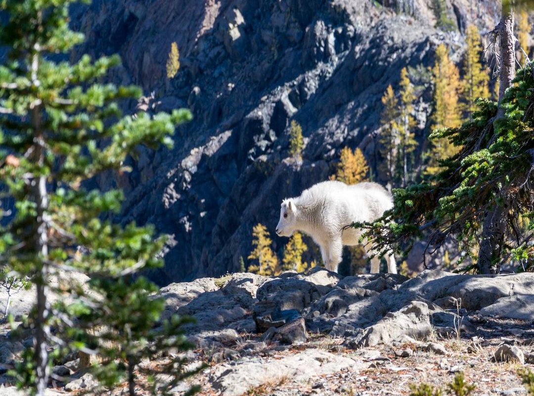 The Man Behind the Music: Hetfield's Fierce Protection of His Private Life