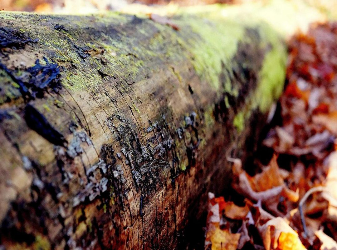 How This Affects You: Practical Examples and Scenarios